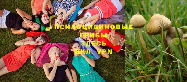 бошки Алзамай