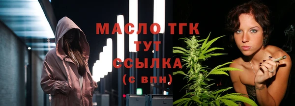 молекула духа Новозыбков