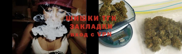 сатива Алексеевка