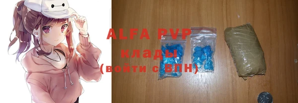 spice Новодвинск