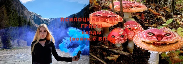 бошки Алзамай