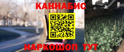 Альфа ПВП Бердск