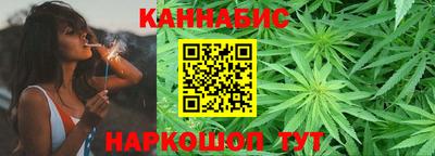 Альфа ПВП Бердск