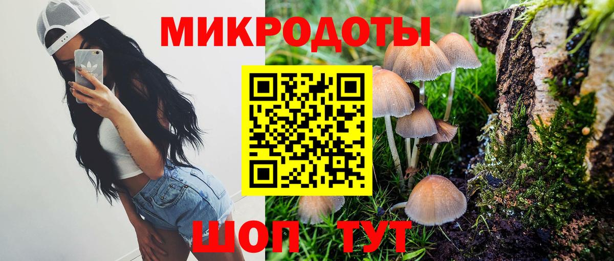Елабуга  Псилоцибиновые грибы Psilocybe  наркота  Вход с VPN 